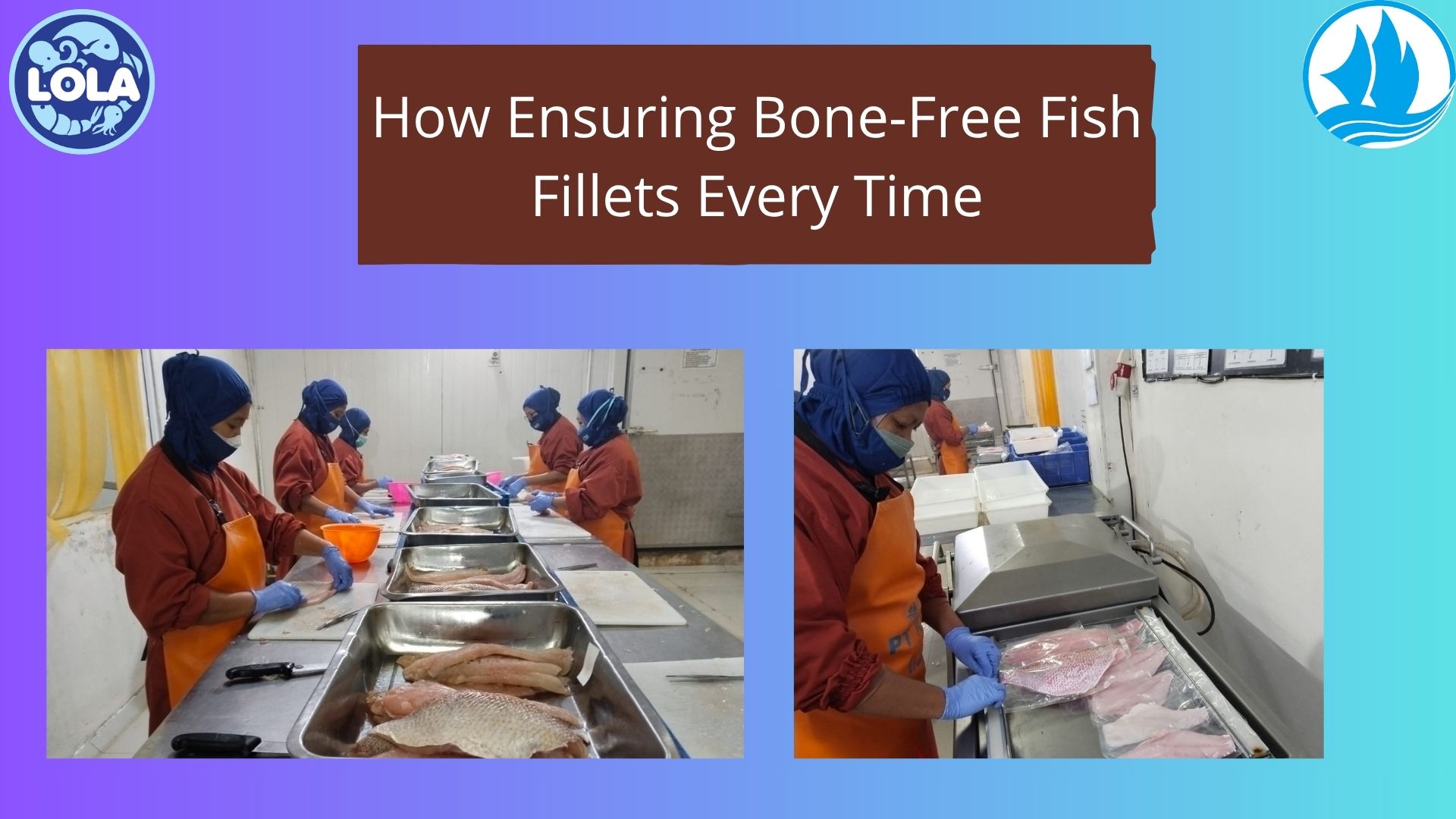  How Ensuring Bone-Free Fish Fillets Every Time